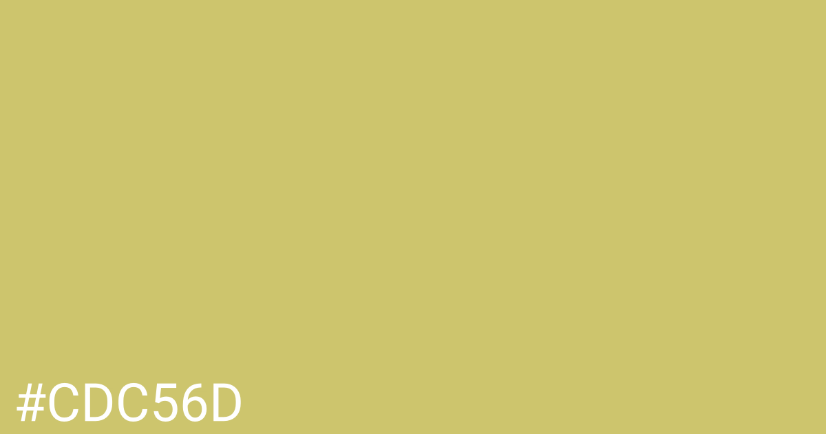 Hex color #cdc56d graphic