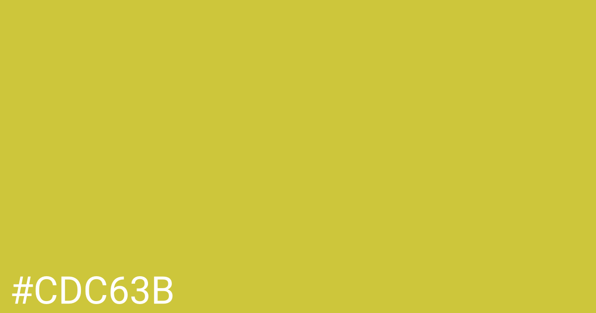 Hex color #cdc63b graphic