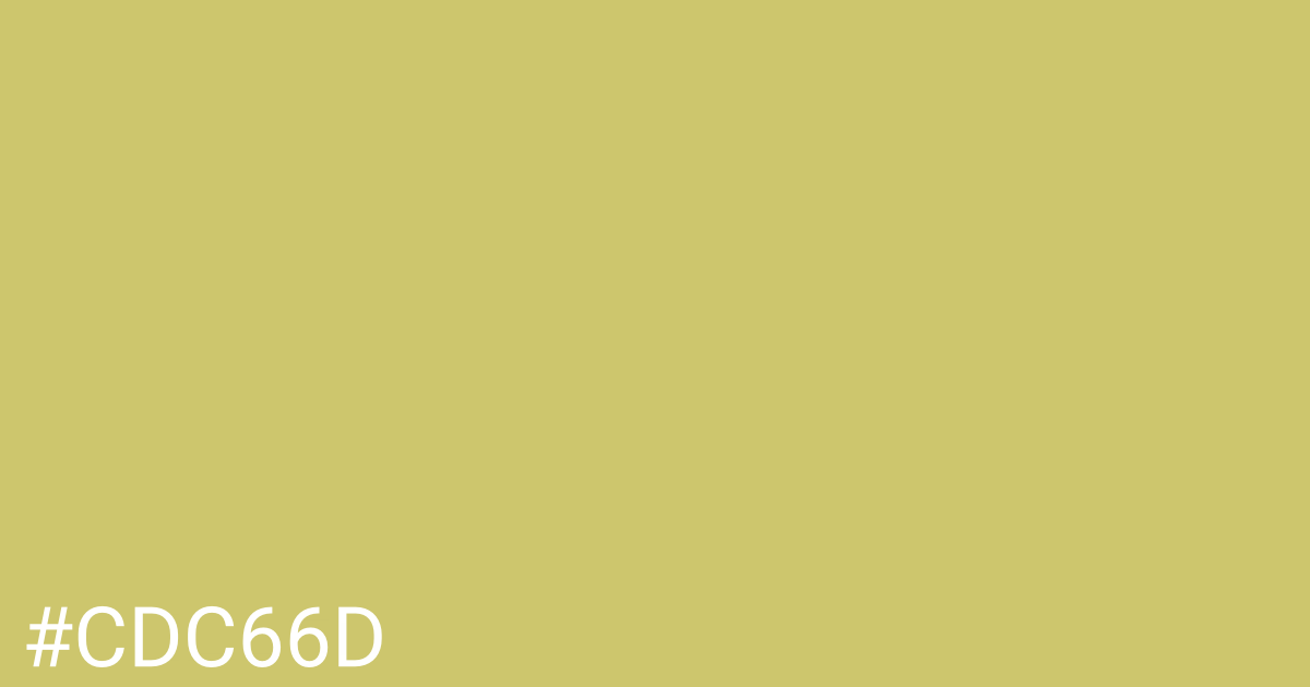 Hex color #cdc66d graphic