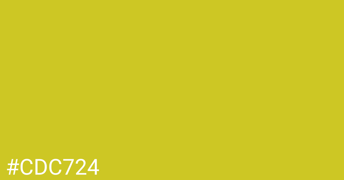 Hex color #cdc724 graphic