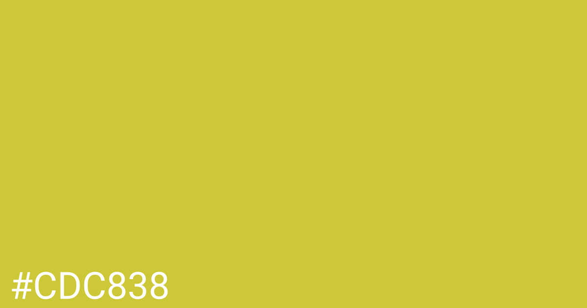 Hex color #cdc838 graphic