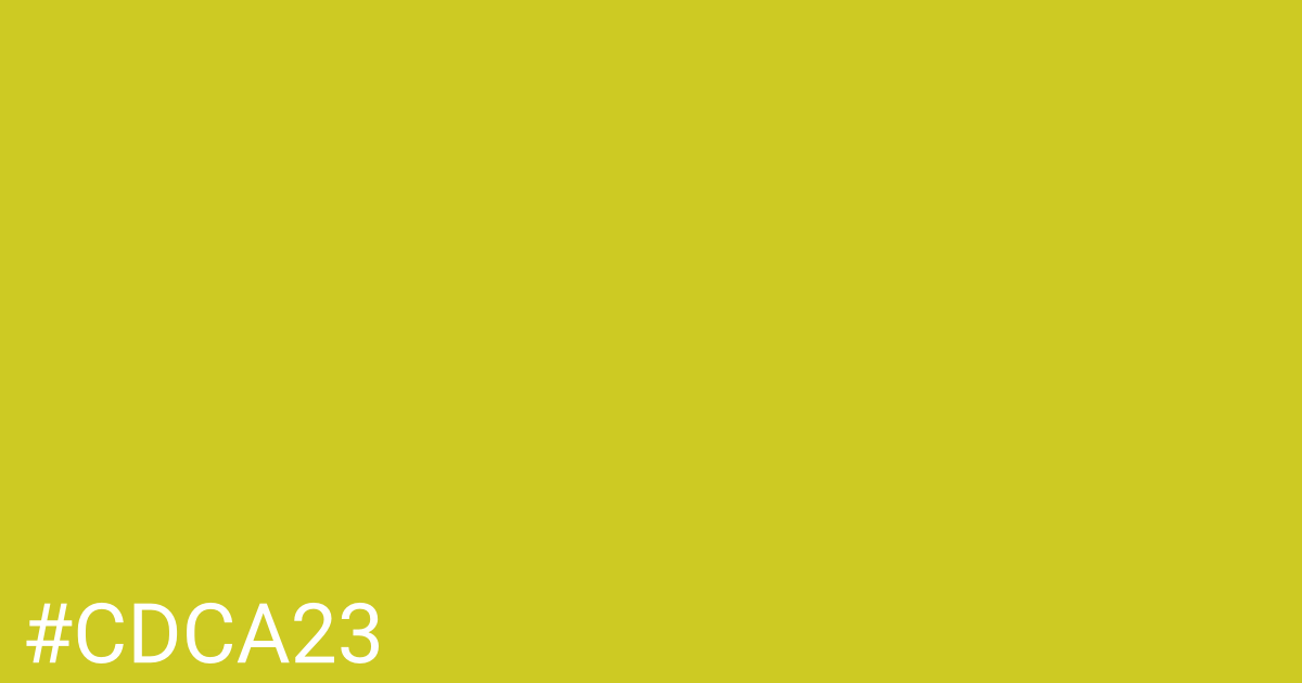 Hex color #cdca23 graphic