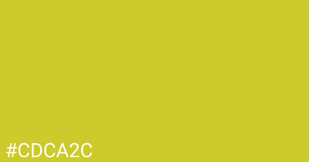 Hex color #cdca2c graphic