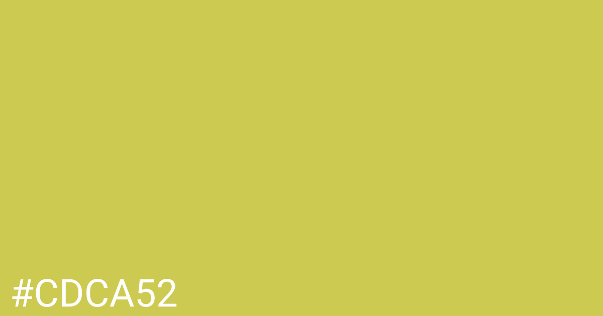 Hex color #cdca52 graphic