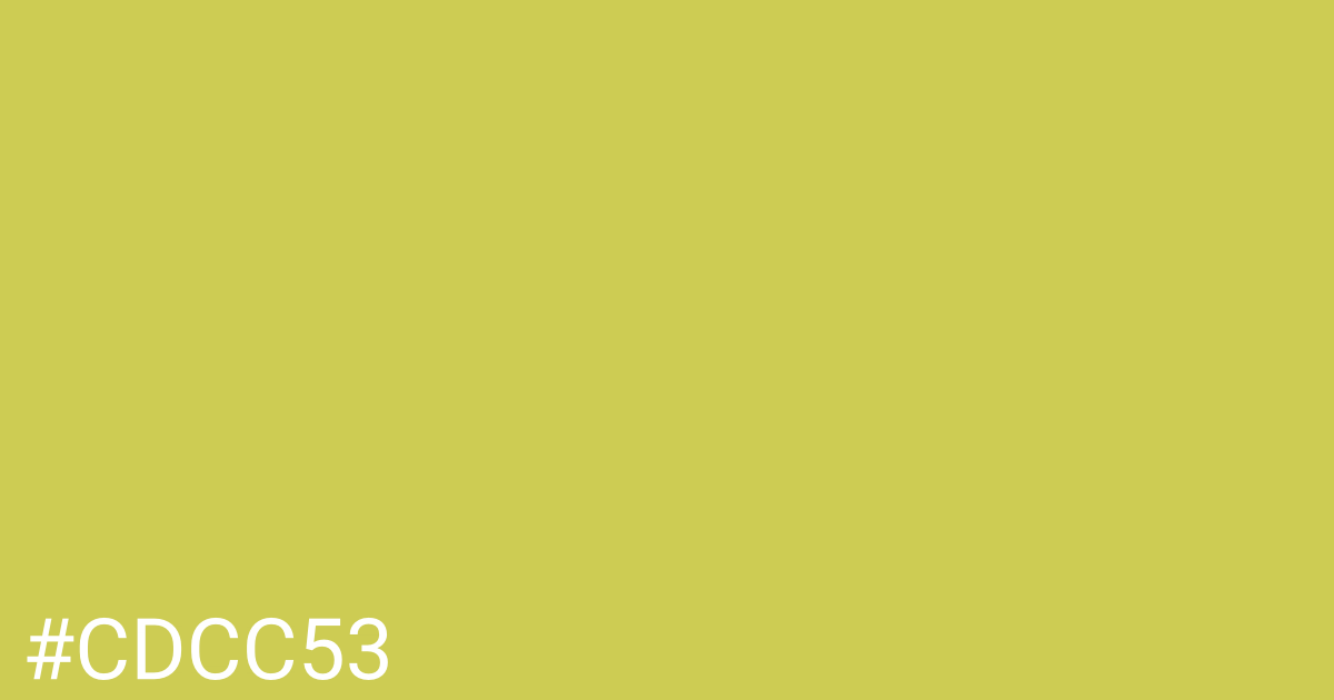 Hex color #cdcc53 graphic