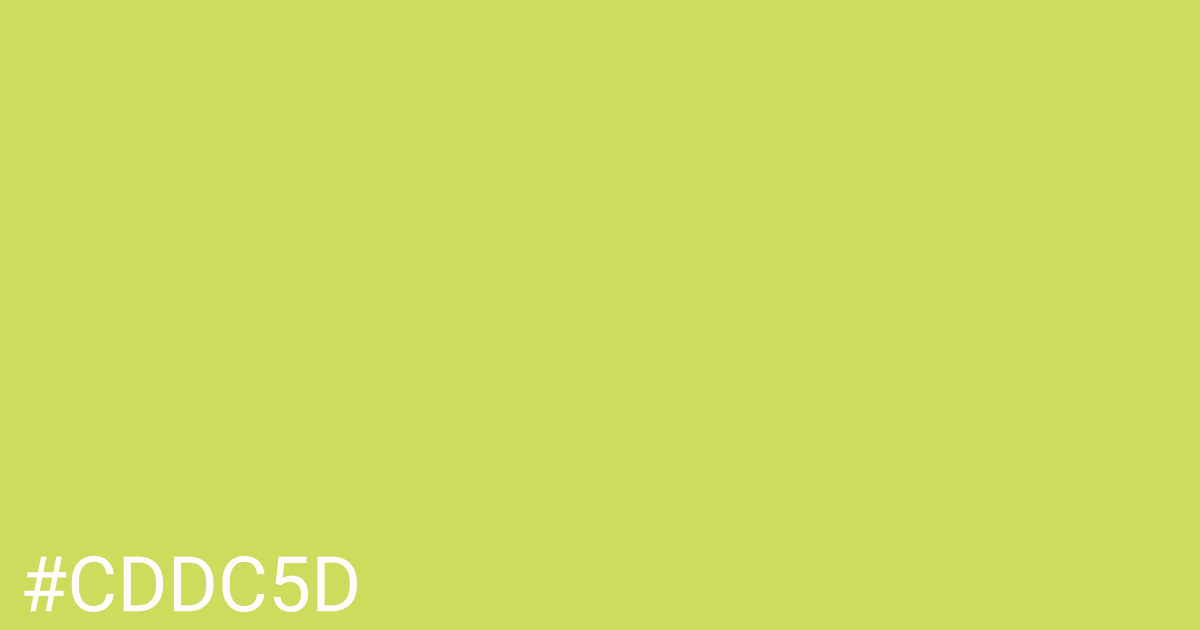 Hex color #cddc5d graphic