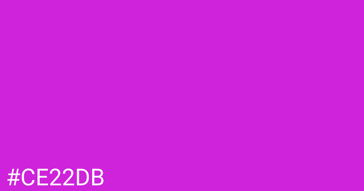 Hex color #ce22db graphic