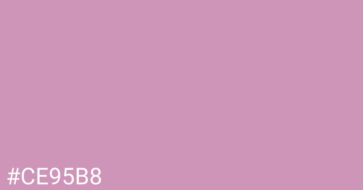 Hex color #ce95b8 graphic