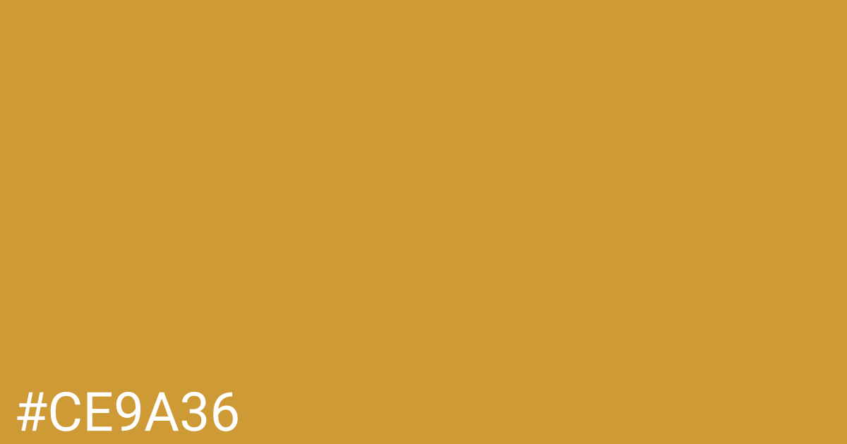 Hex color #ce9a36 graphic