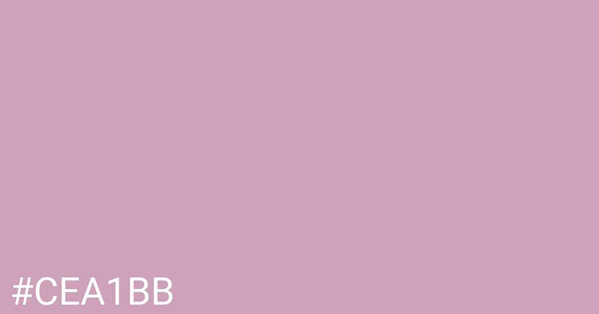 Hex color #cea1bb graphic
