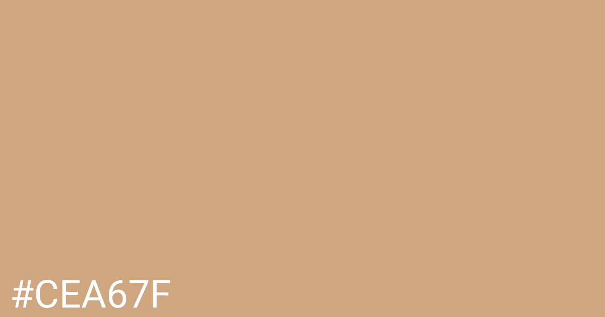 Hex color #cea67f graphic