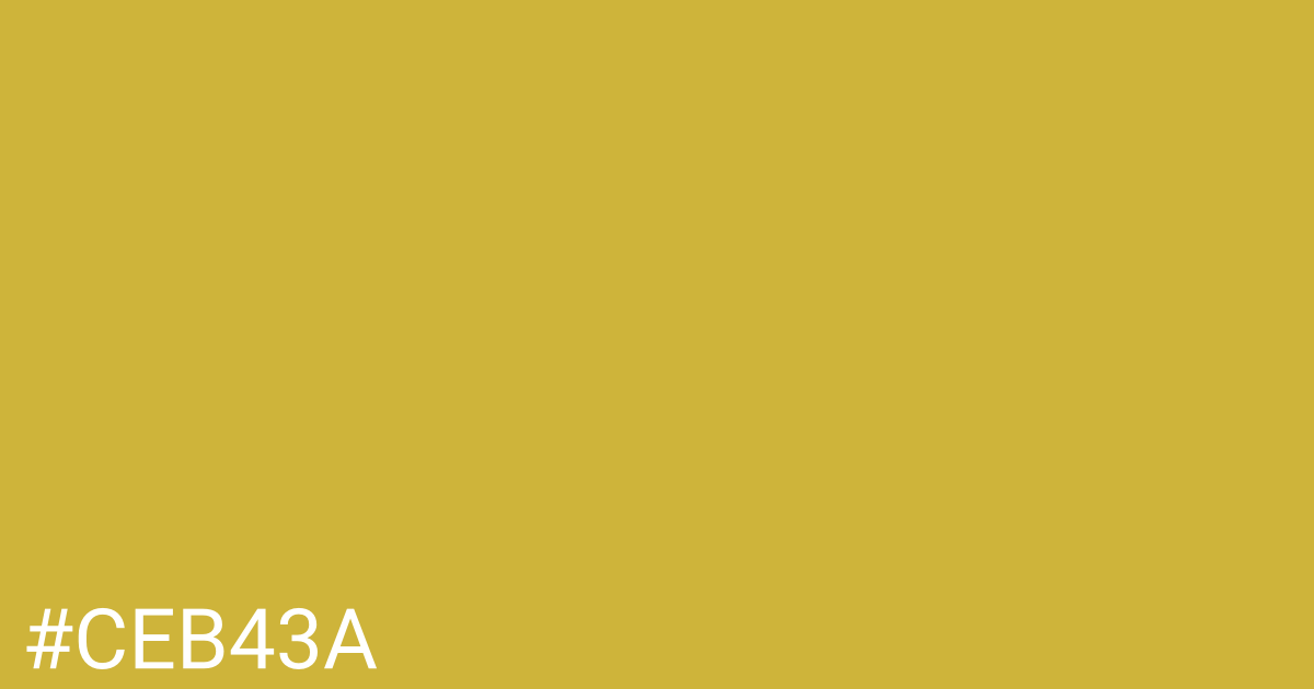 Hex color #ceb43a graphic