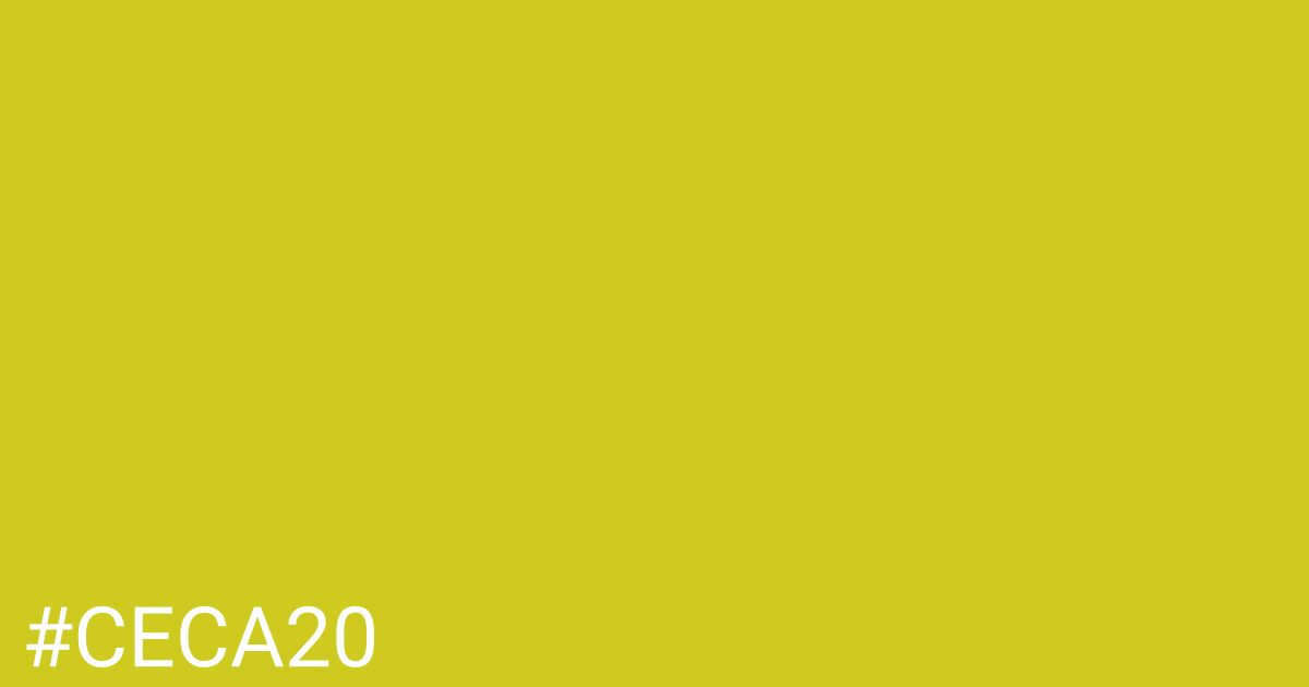 Hex color #ceca20 graphic