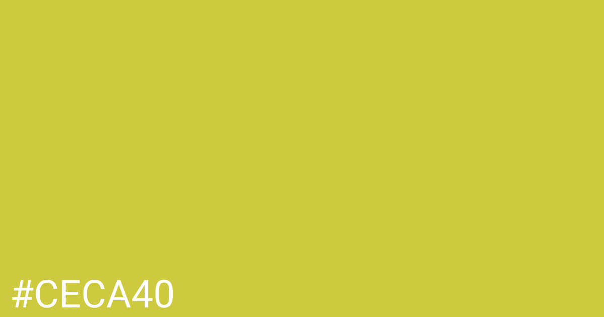 Hex color #ceca40 graphic