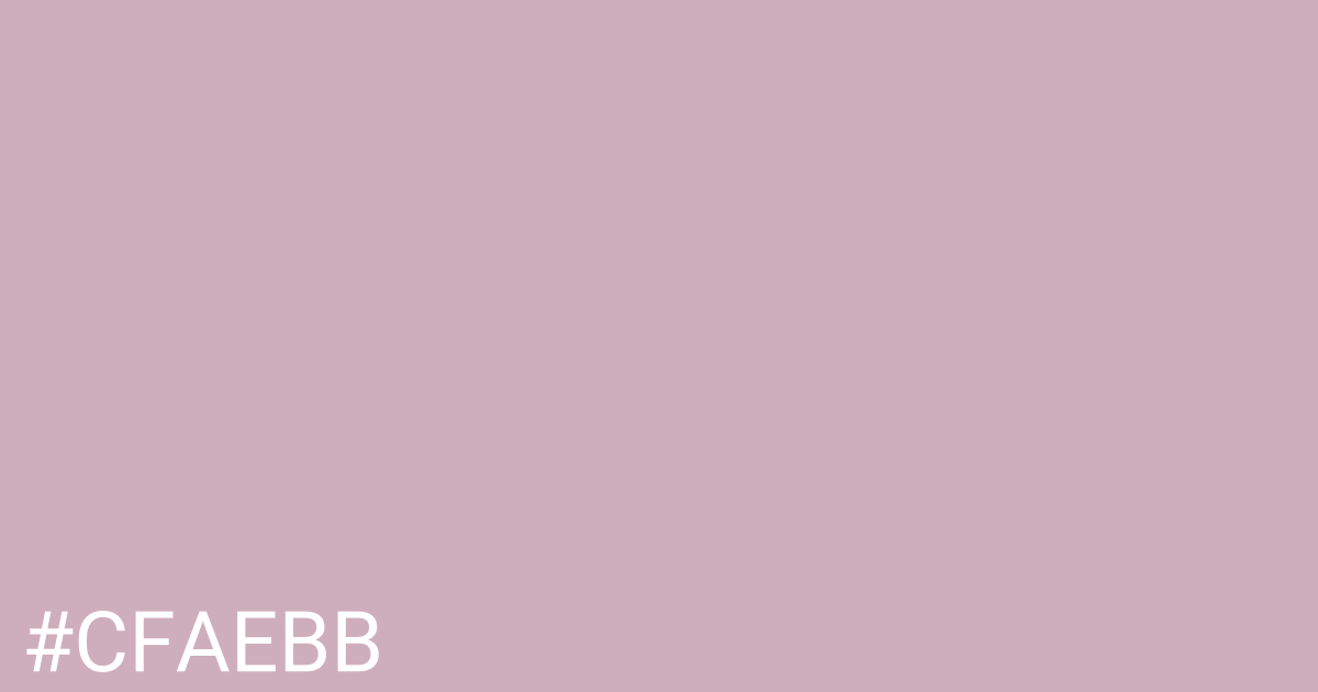 Hex color #cfaebb graphic