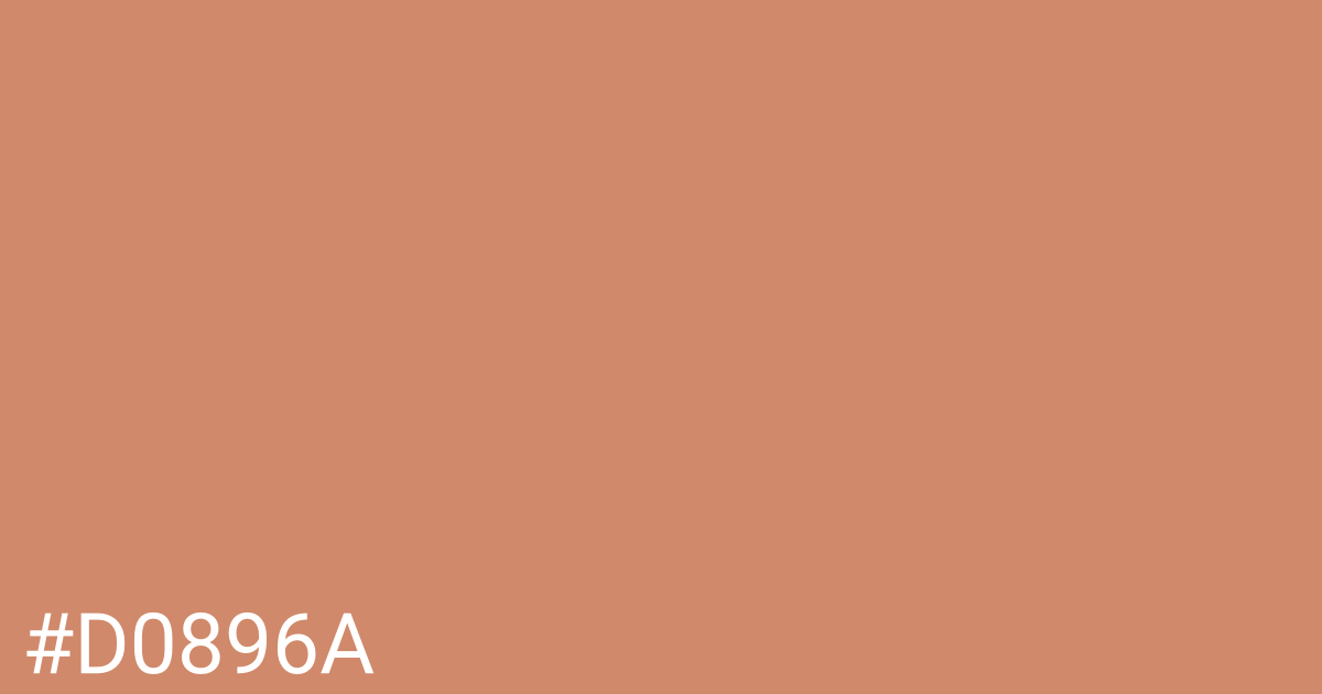 Hex color #d0896a graphic