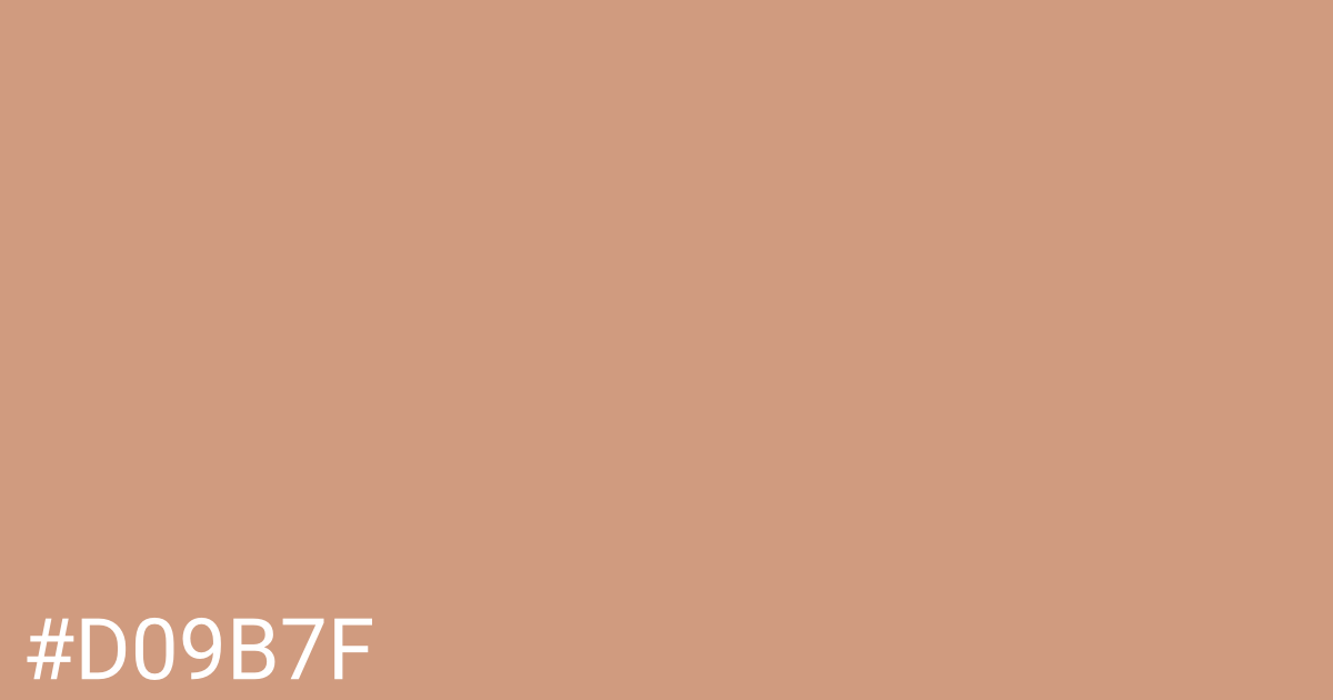 Hex color #d09b7f graphic