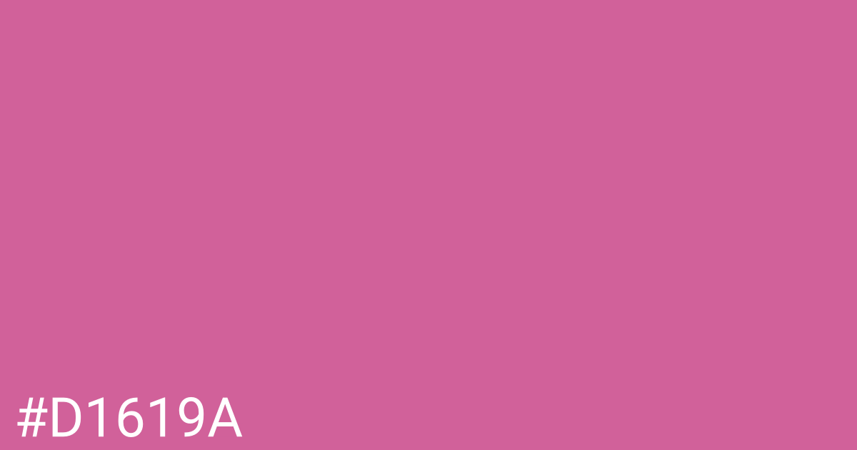 Hex color #d1619a graphic