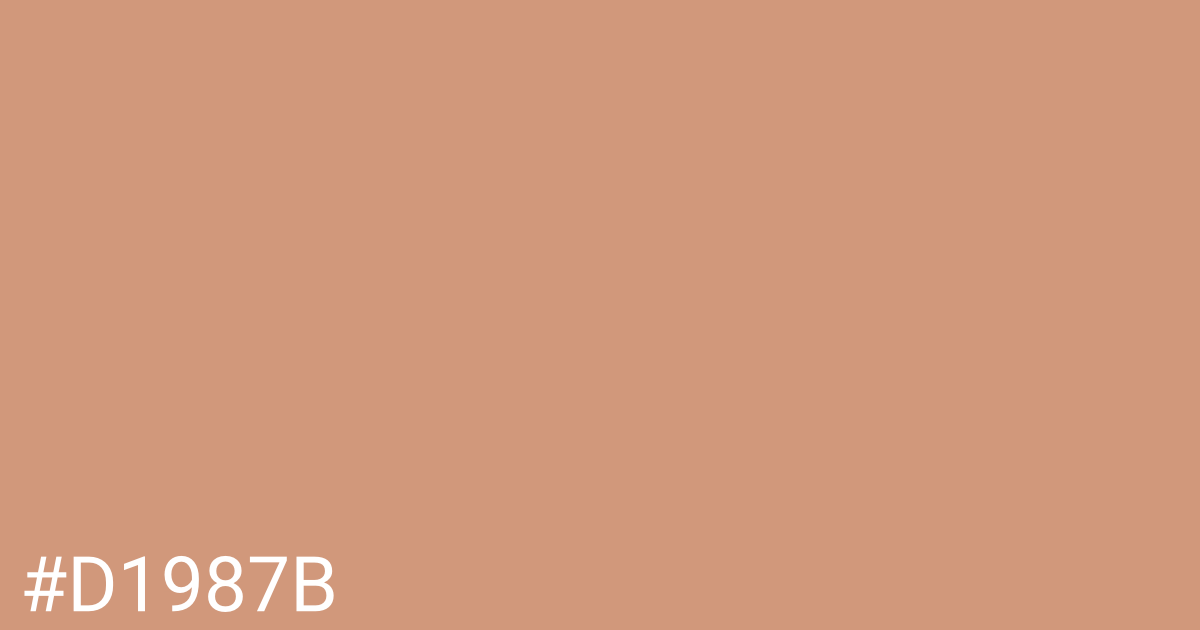 Hex color #d1987b graphic