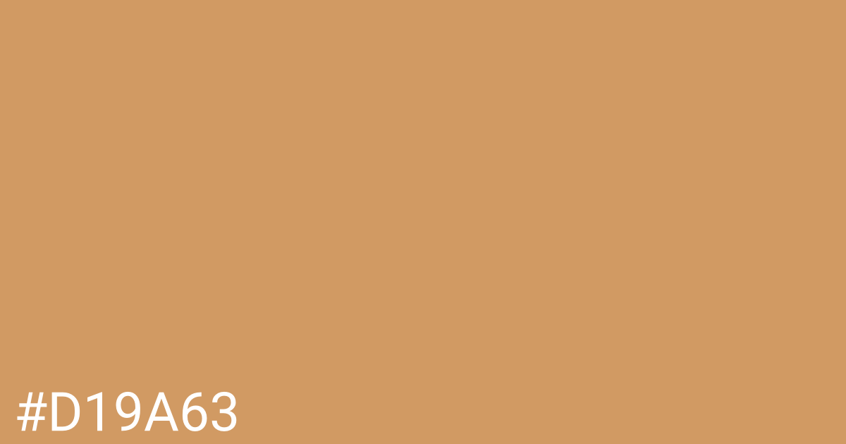 Hex color #d19a63 graphic