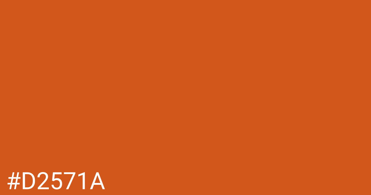 Hex color #d2571a graphic