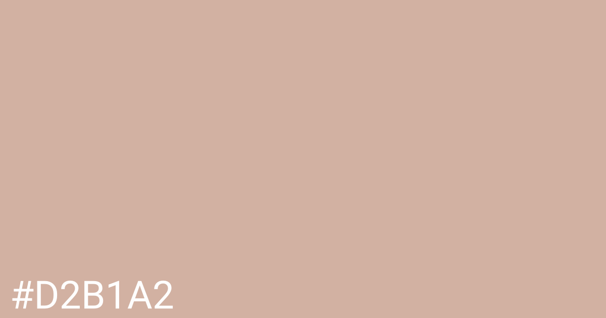 Hex color #d2b1a2 graphic