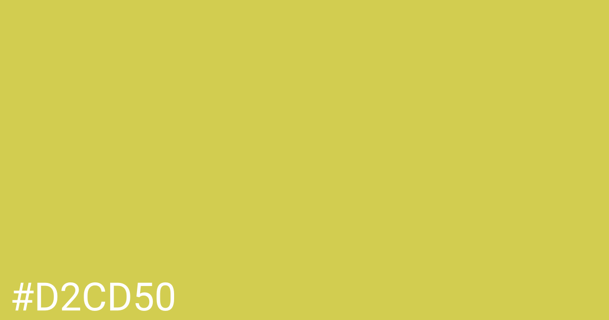 Hex color #d2cd50 graphic