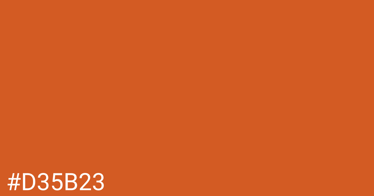 Hex color #d35b23 graphic