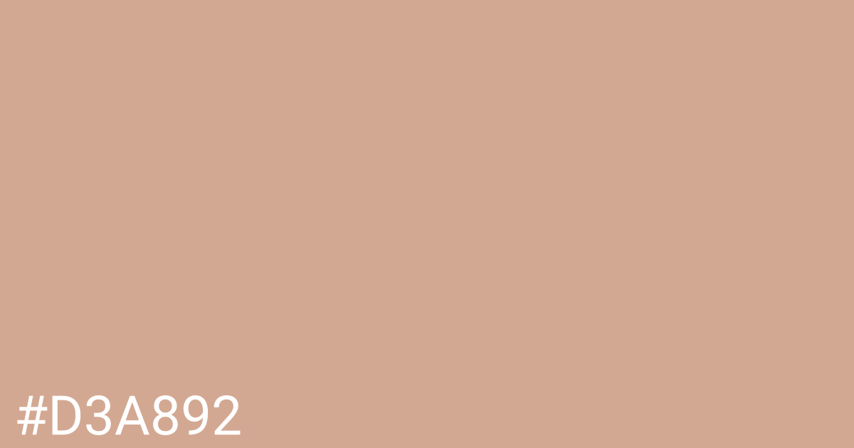 Hex color #d3a892 graphic