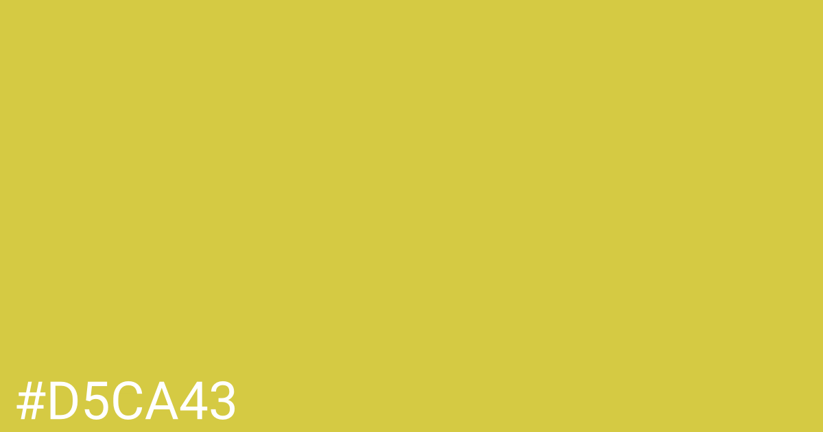 Hex color #d5ca43 graphic