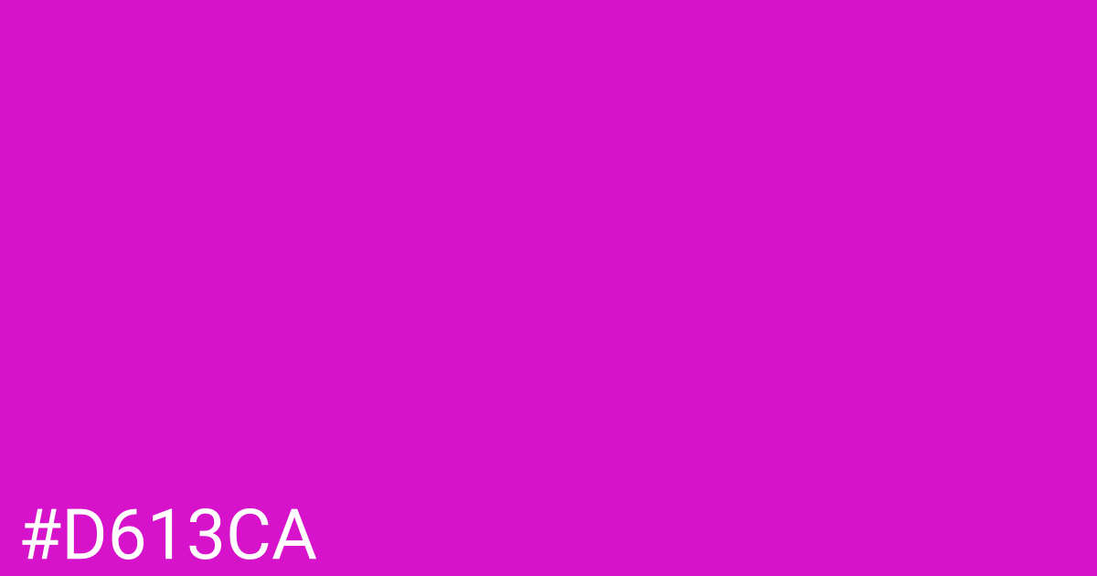 Hex color #d613ca graphic