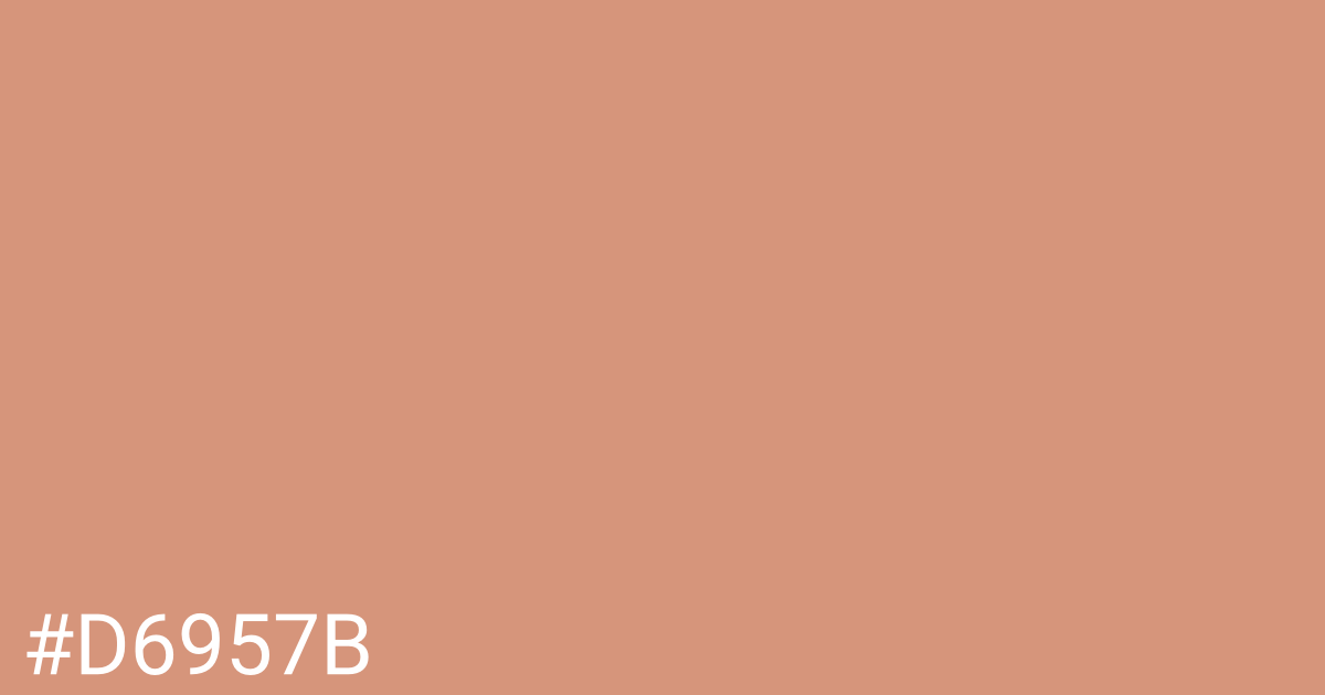 Hex color #d6957b graphic