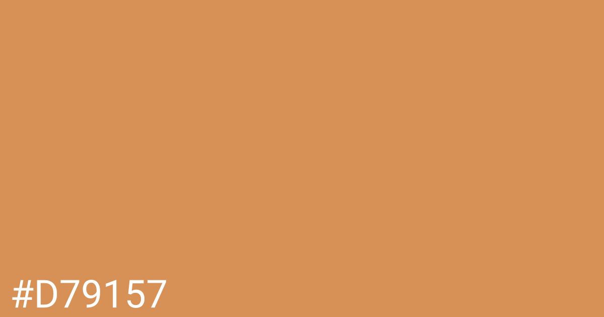 Hex color #d79157 graphic