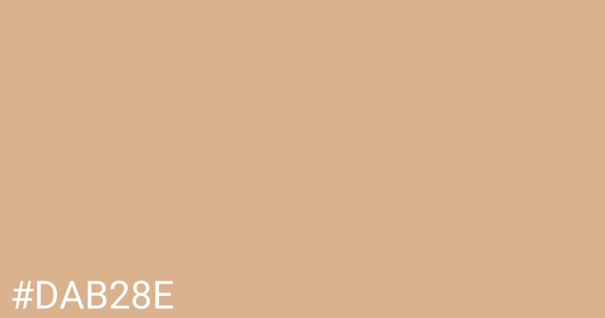 Hex color #dab28e graphic