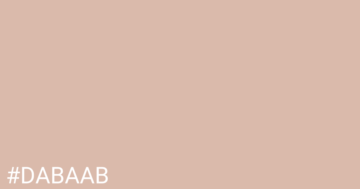 Hex color #dabaab graphic