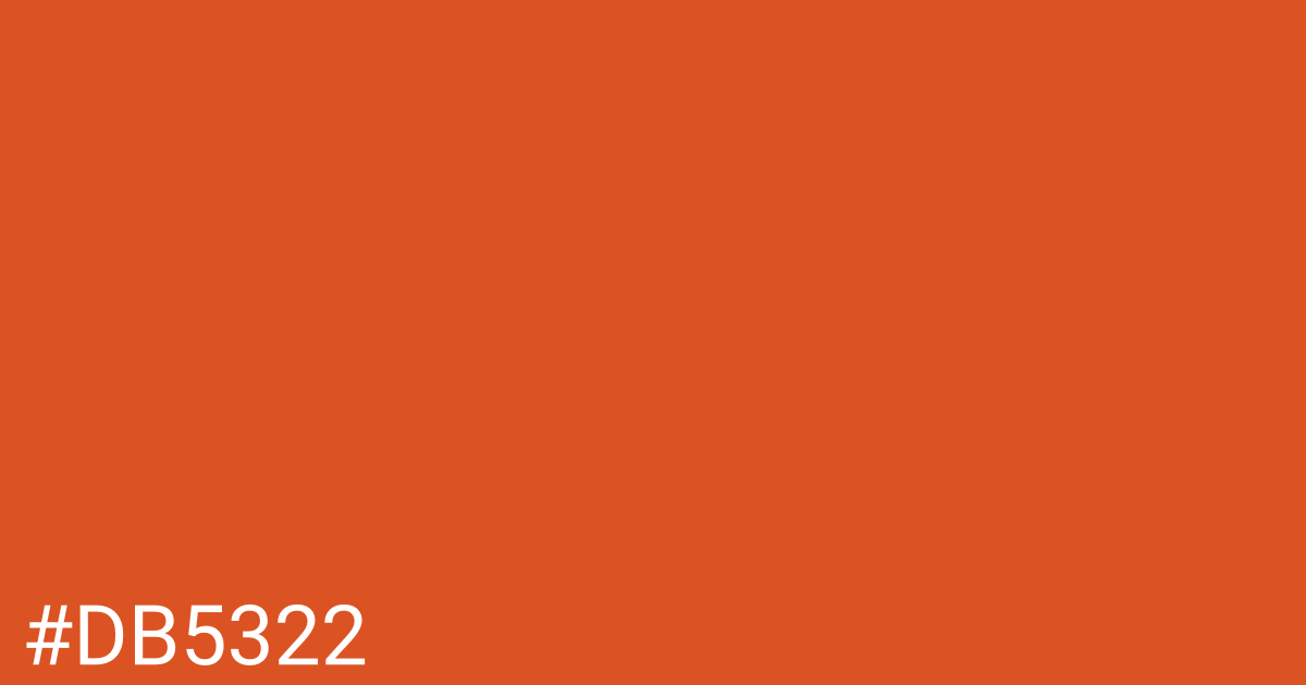 Hex color #db5322 graphic