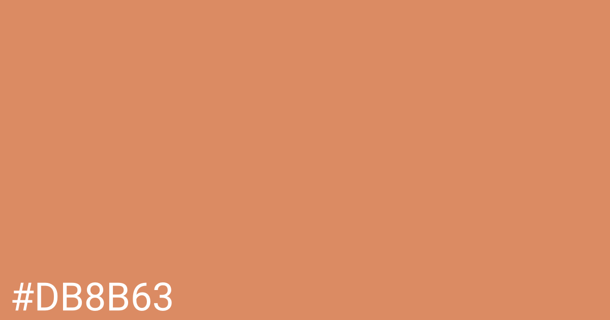 Hex color #db8b63 graphic