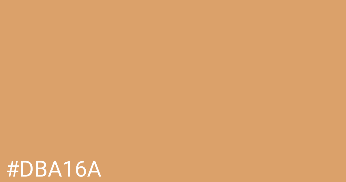 Hex color #dba16a graphic