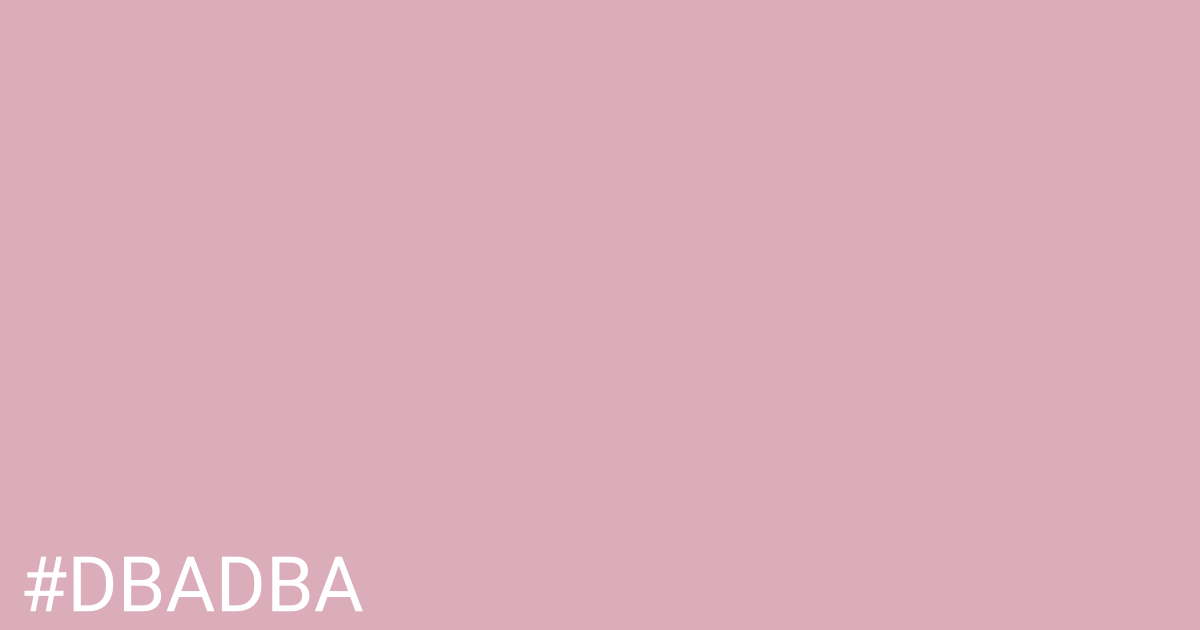 Hex color #dbadba graphic