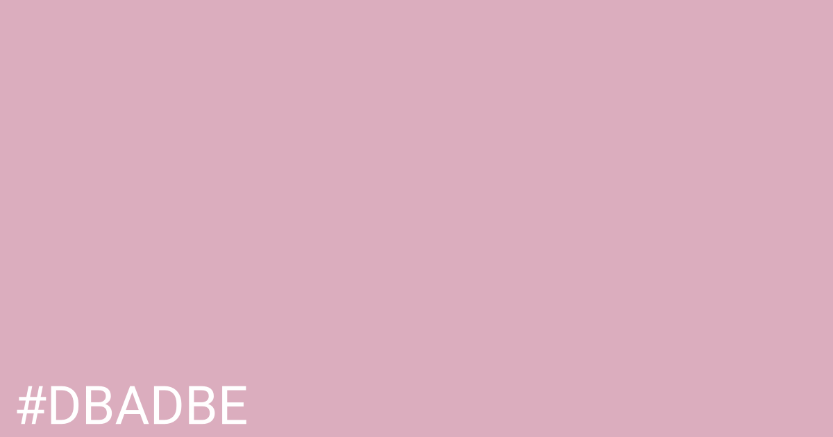 Hex color #dbadbe graphic