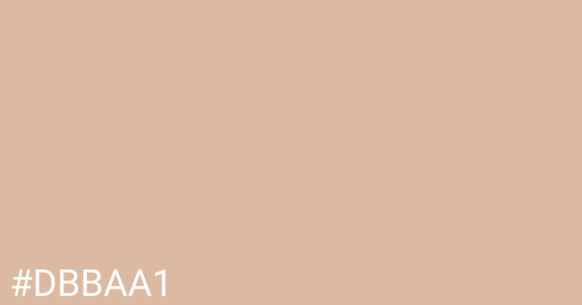 Hex color #dbbaa1 graphic