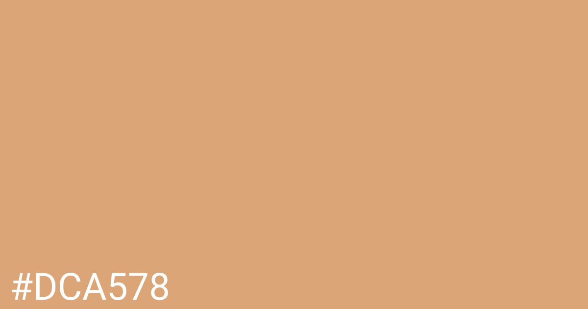 Hex color #dca578 graphic
