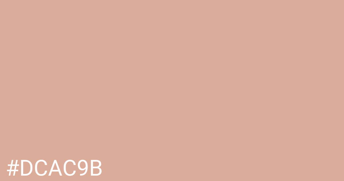 Hex color #dcac9b graphic