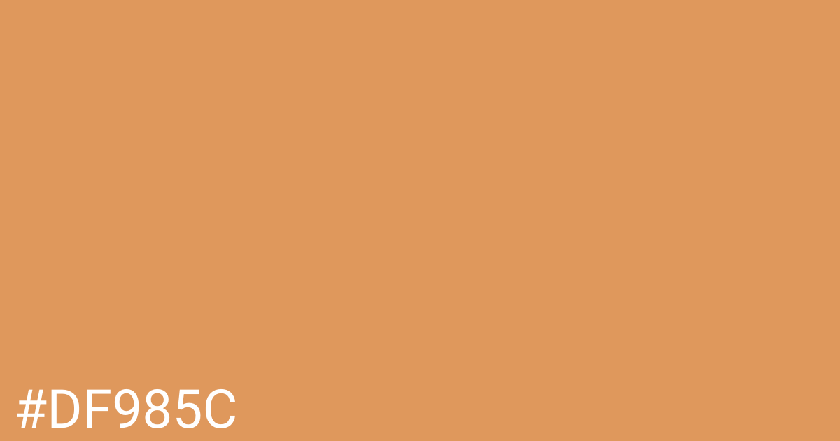 Hex color #df985c graphic