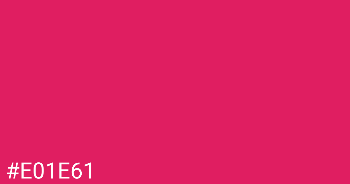 Hex color #e01e61 graphic