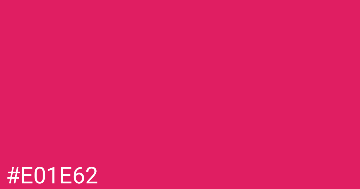Hex color #e01e62 graphic