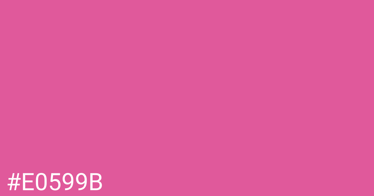 Hex color #e0599b graphic
