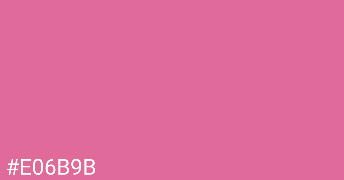 Hex color #e06b9b graphic