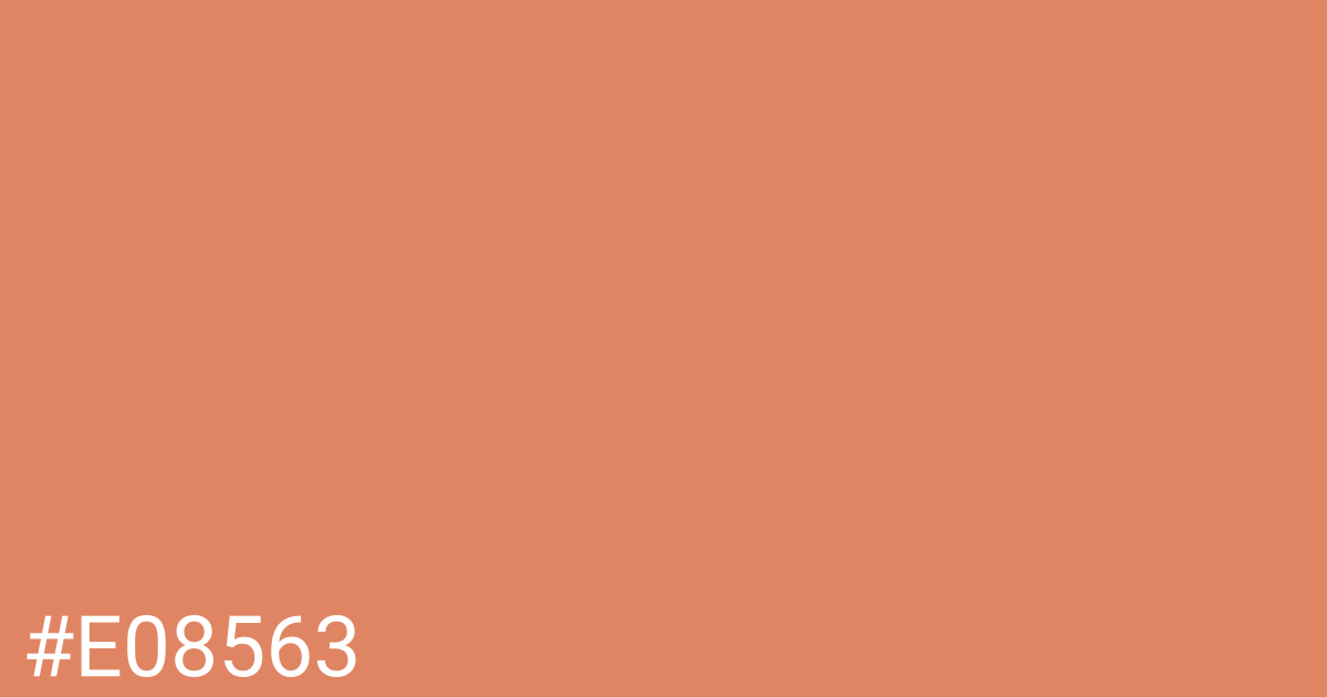 Hex color #e08563 graphic