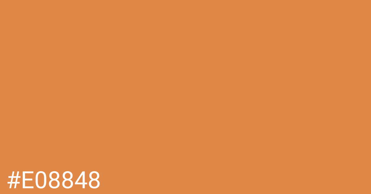 Hex color #e08848 graphic